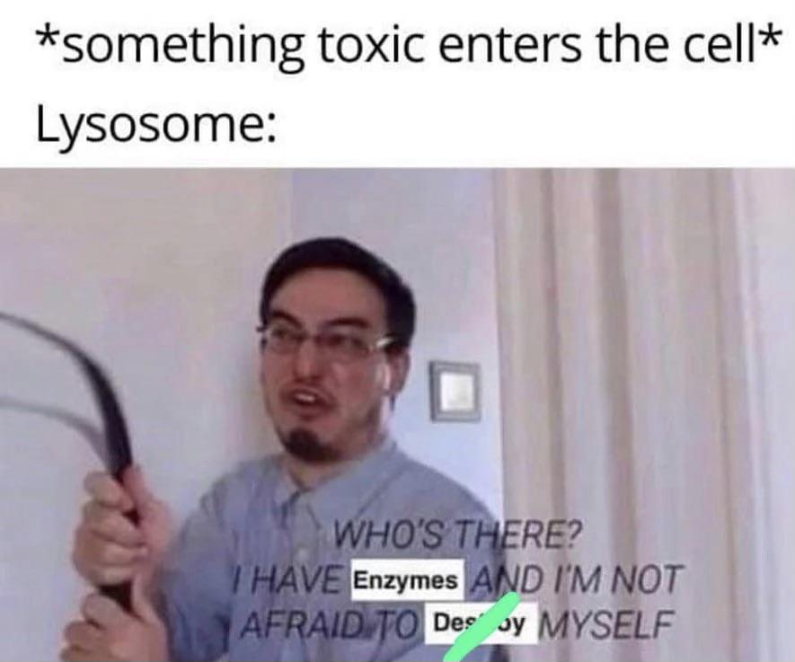 Who's There? I Have Enzymes And I'm Not Afraid To Use Them!