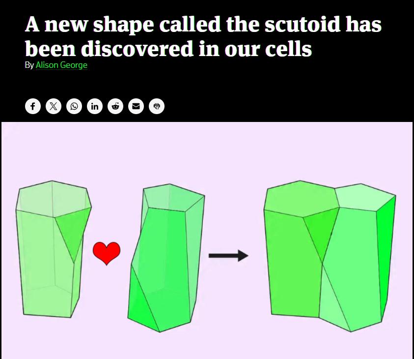 Scute, Right? When Cells Get Geometrically Creative