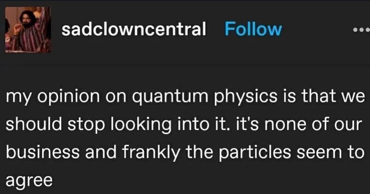 Quantum Particles Want Their Privacy