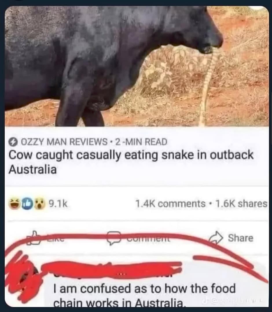 When Australia Breaks The Food Chain