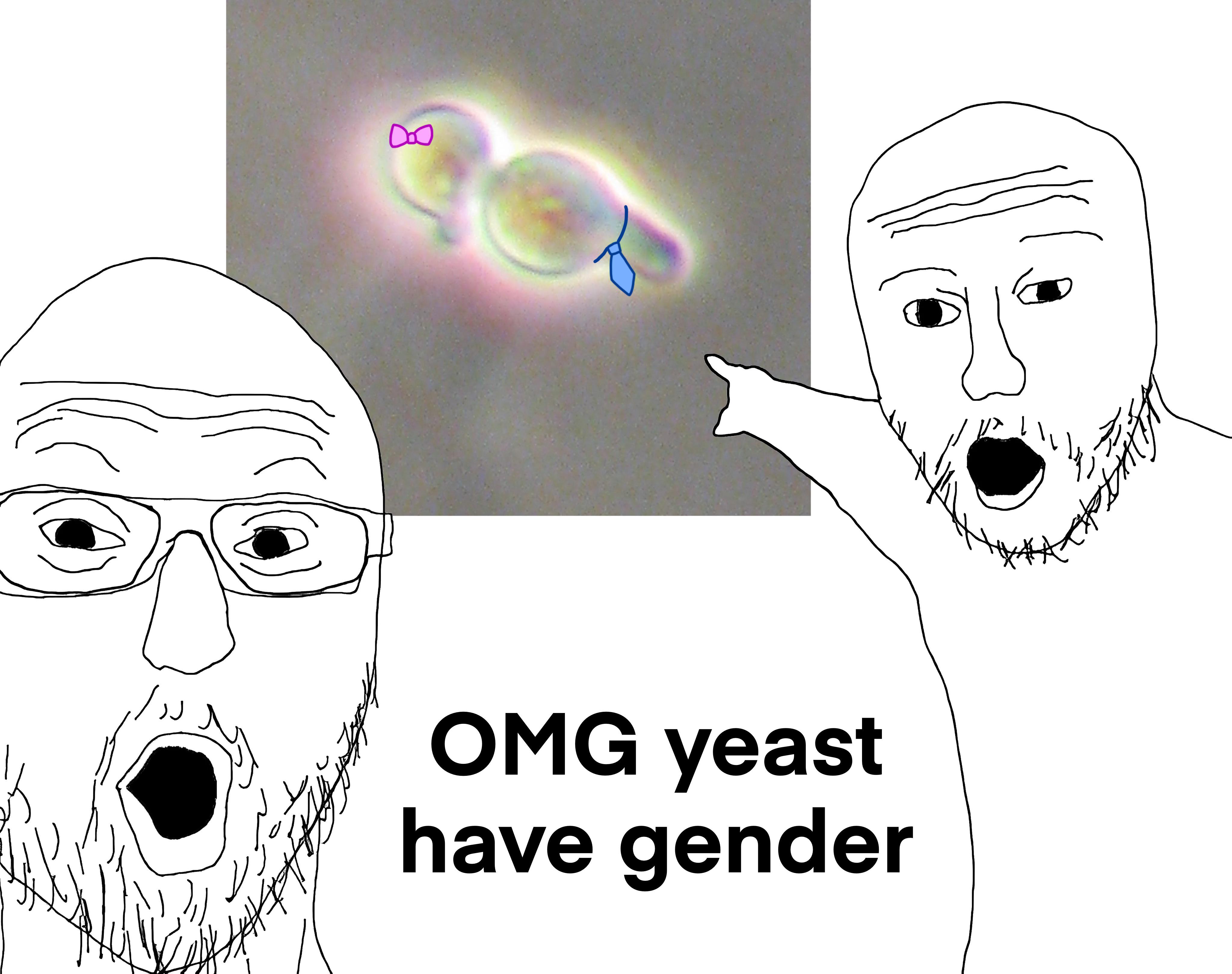 Yeast Got Game