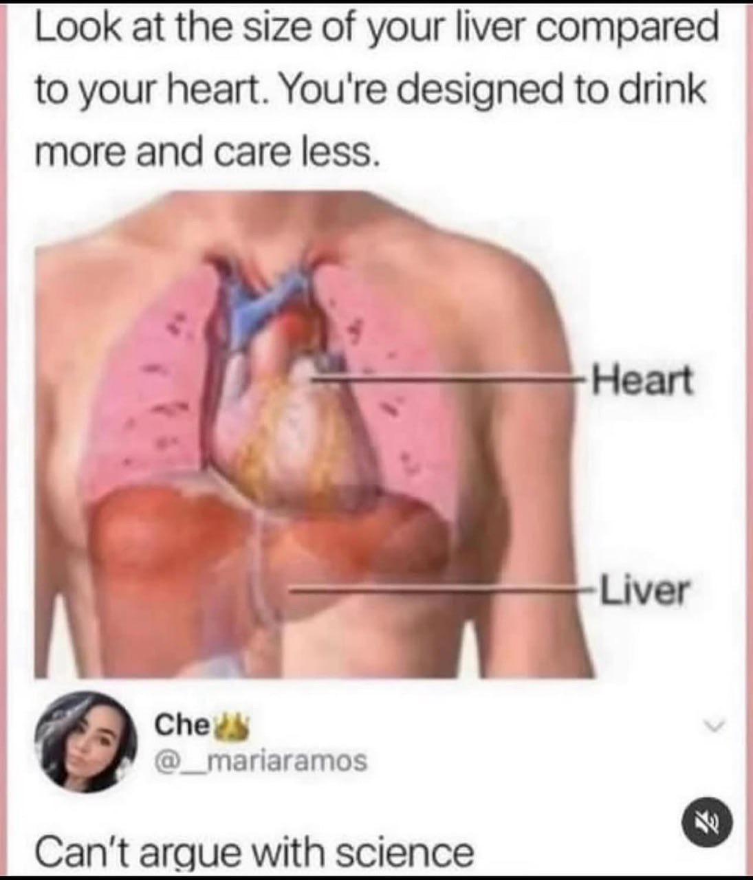 Anatomical Evidence For Happy Hour
