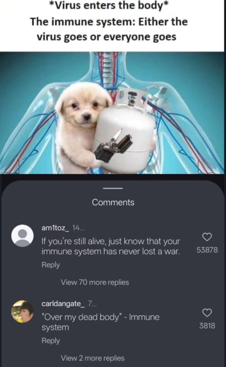 Either The Virus Goes Or Everyone Goes