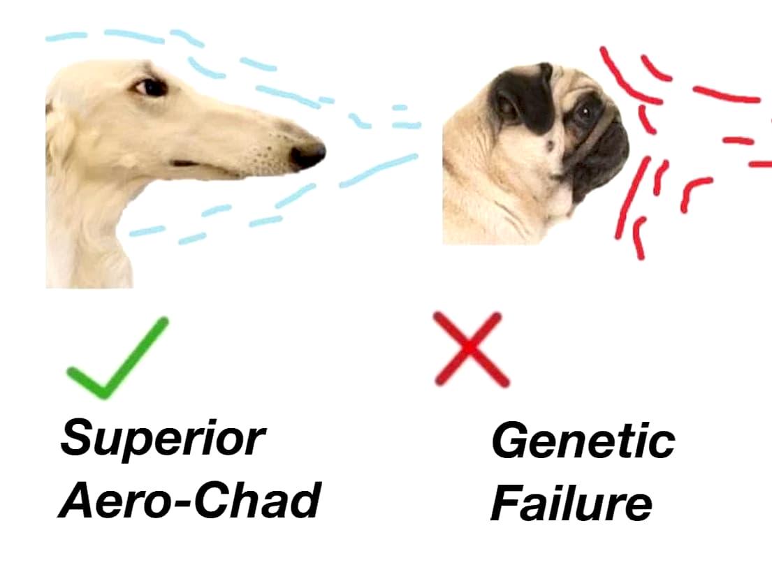 One More Breed This Month