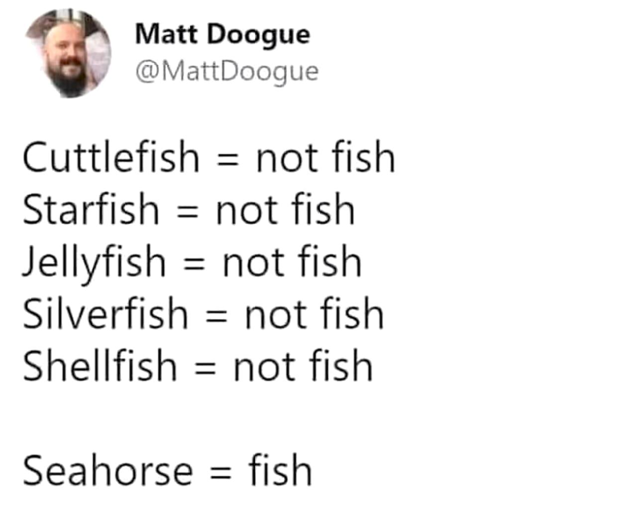 The Great Fish Impersonators