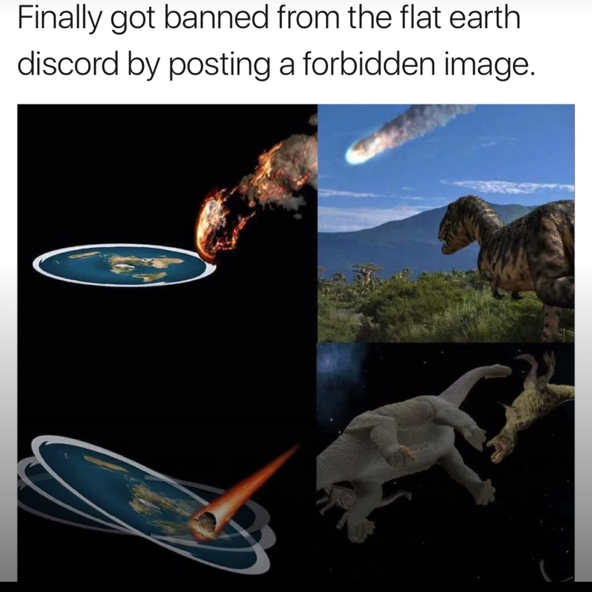 The Real Reason Dinosaurs Went Extinct