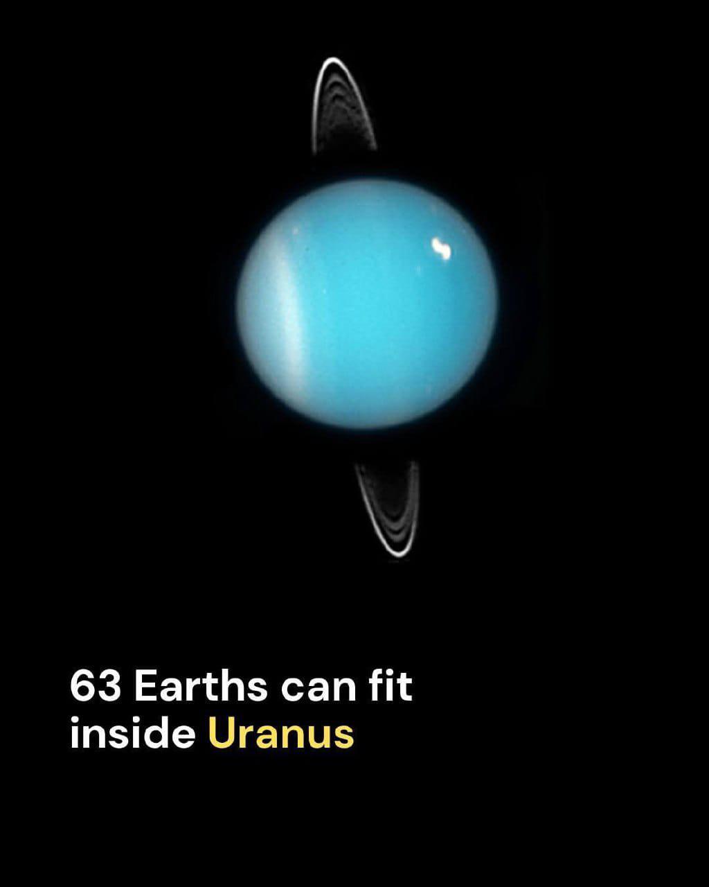 The Butt Of All Cosmic Jokes