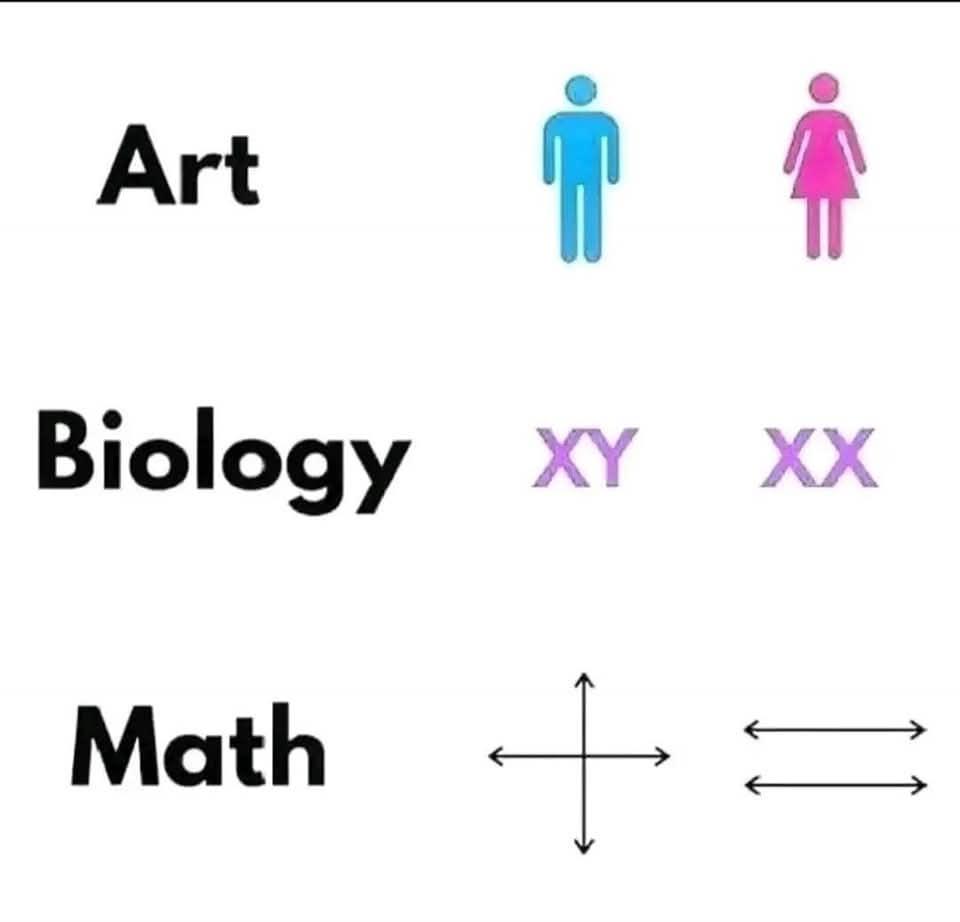 Who Did It Best? The Scientific Gender Symbol Showdown