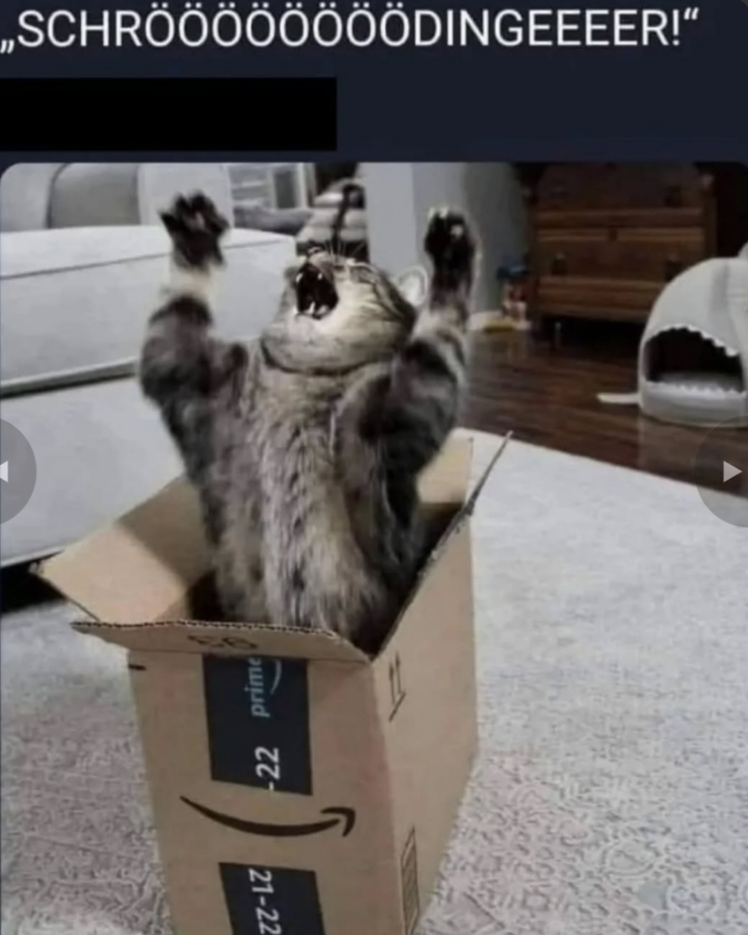 Your Cat Has Returned! I Bring The Destruction Of Theories