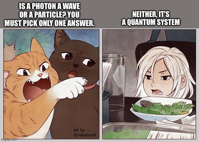 Schrödinger's Answer: The Quantum Cat Fight