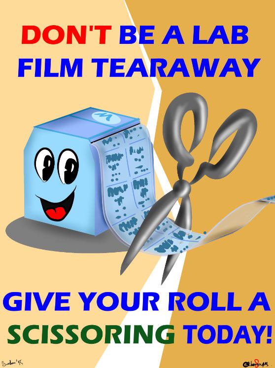 Don't Be A Lab Film Tearaway