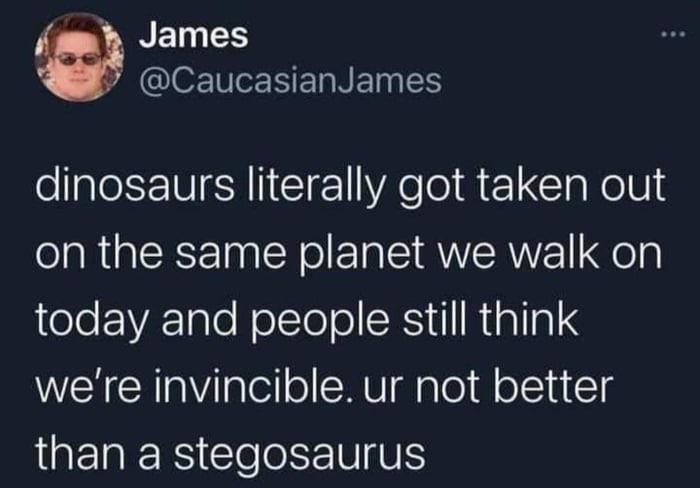 Stay Humble: The Asteroid Doesn't Check Your Resume