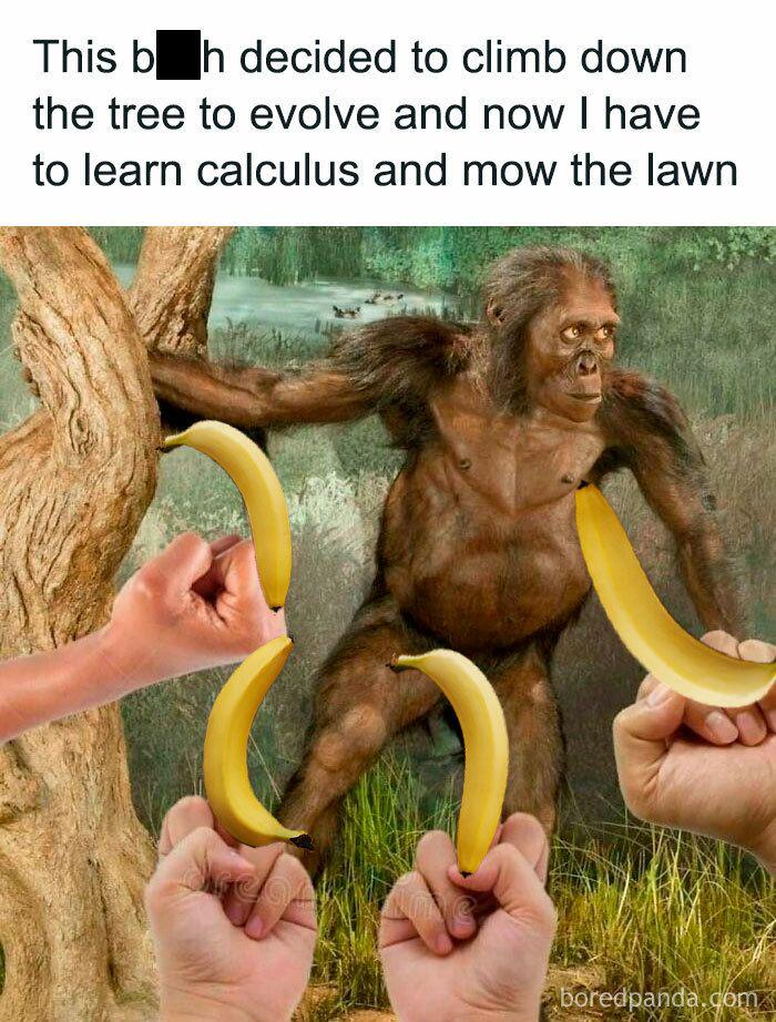 The Evolutionary Price Of Bananas
