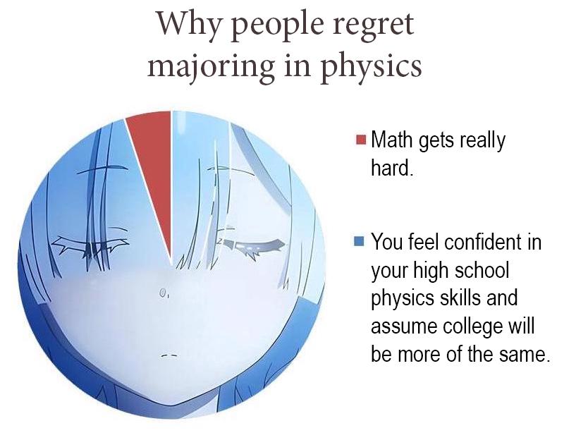 The Physics Major Reality Check