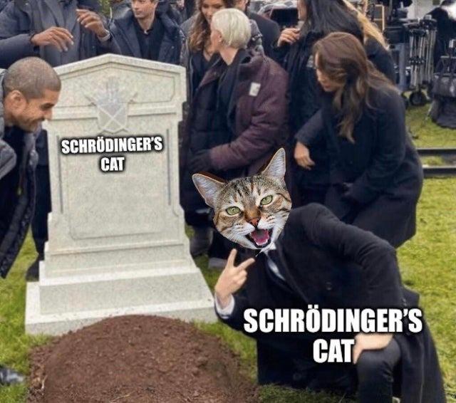 Schrödinger's Cat: Simultaneously Alive And Dead At Its Own Funeral