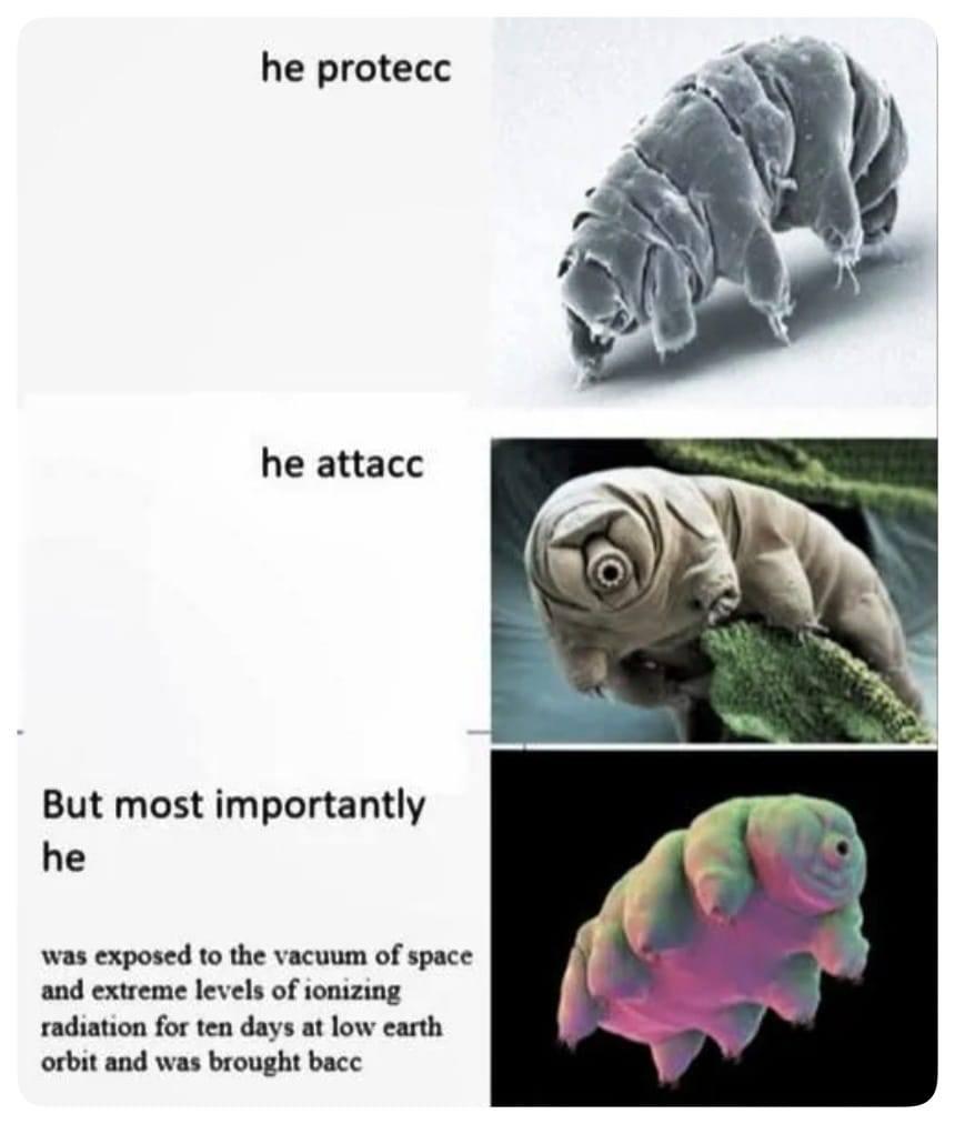 Tardigrades Are Beasts!