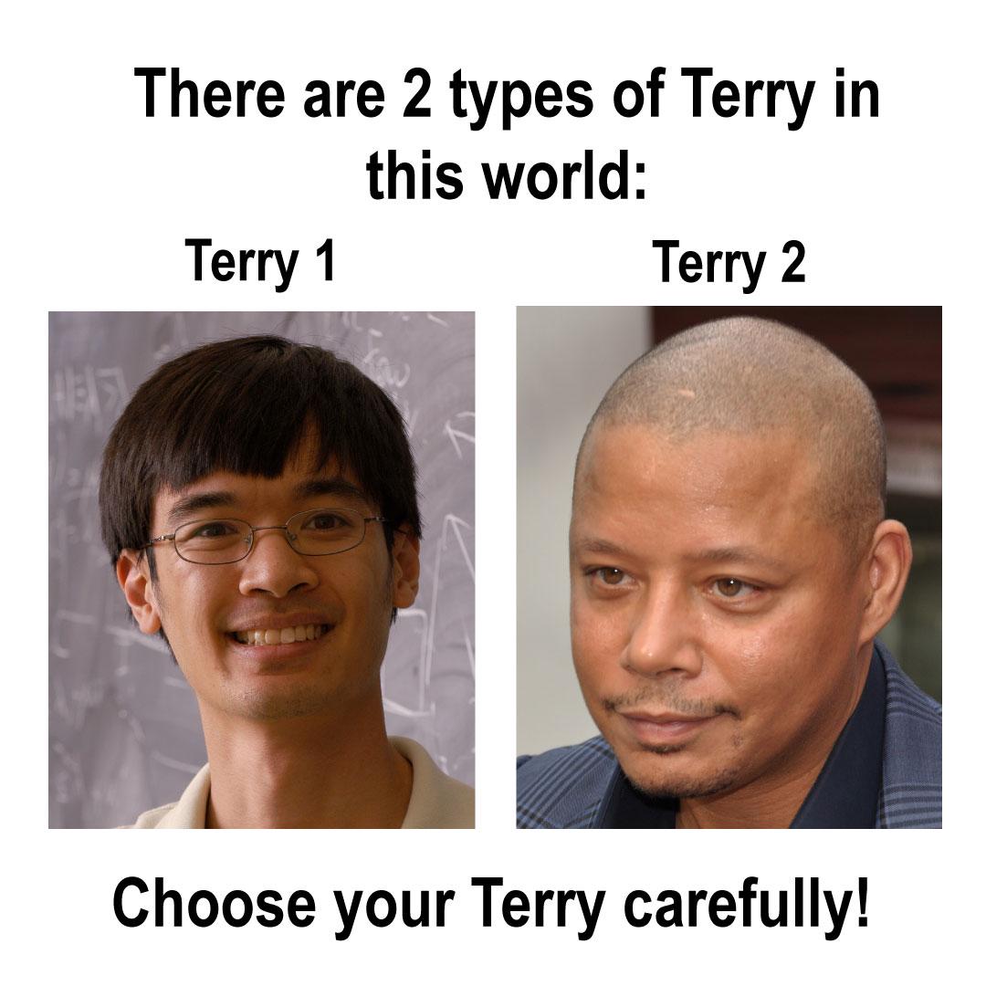 Choose Your Mathematical Terry Wisely