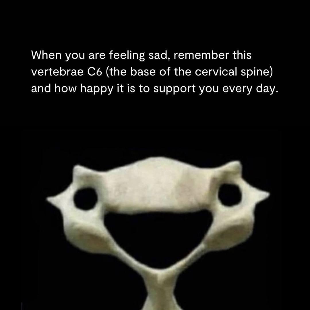The C6 Vertebra: Your Skeleton's Built-In Cheerleader