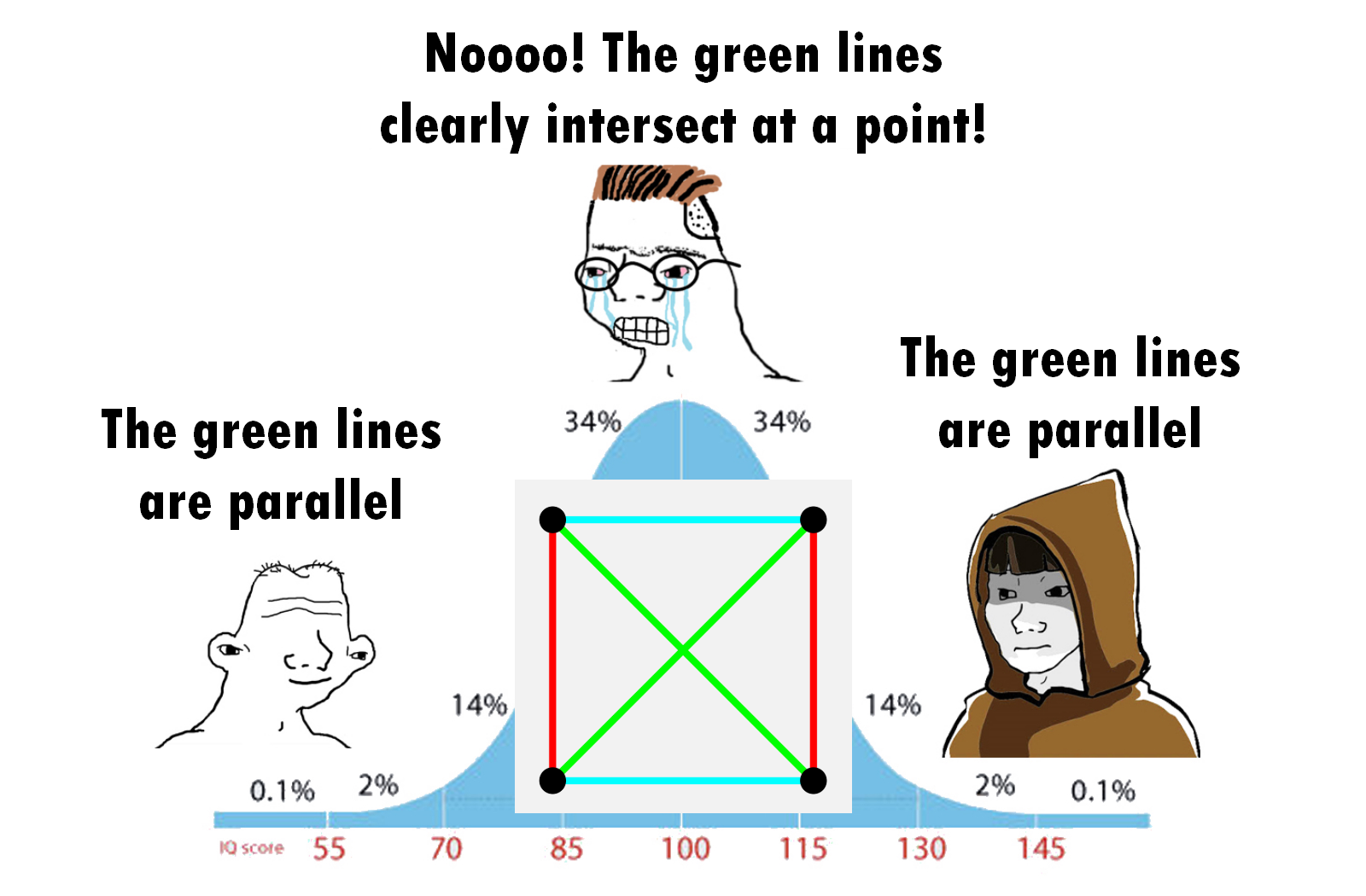 The Parallel Universe Of IQ And Geometry