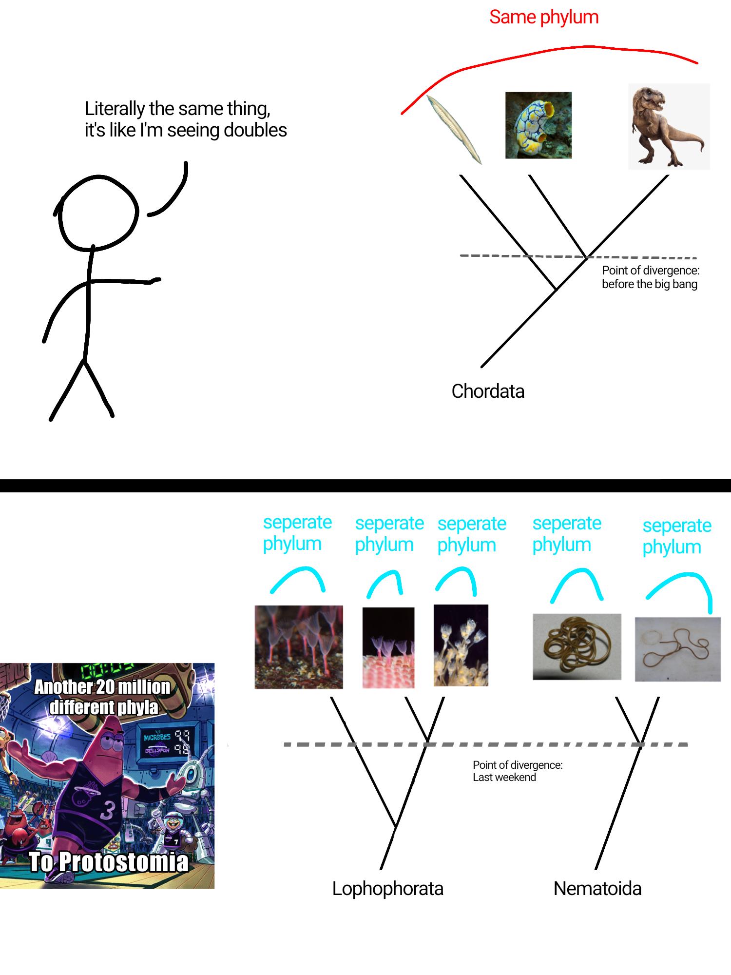 Taxonomy Is A Joke