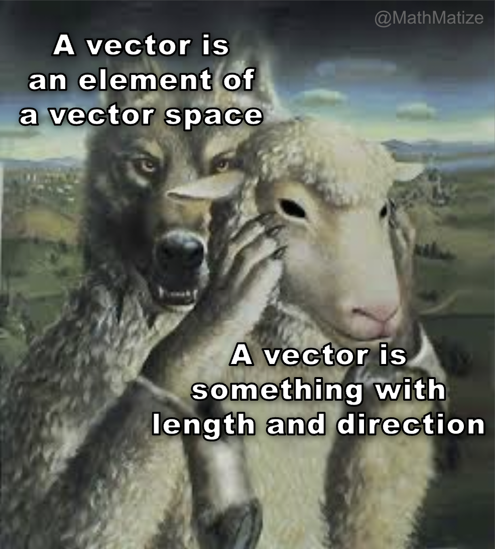 The Two Faces Of Vector Mathematics