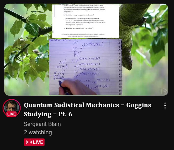 Quantum Sadistical Mechanics
