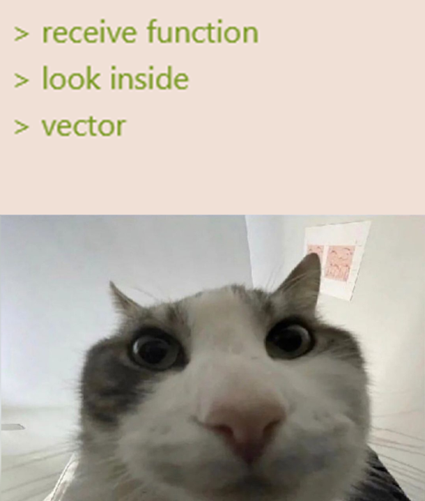 What Is *Not* A Vector?