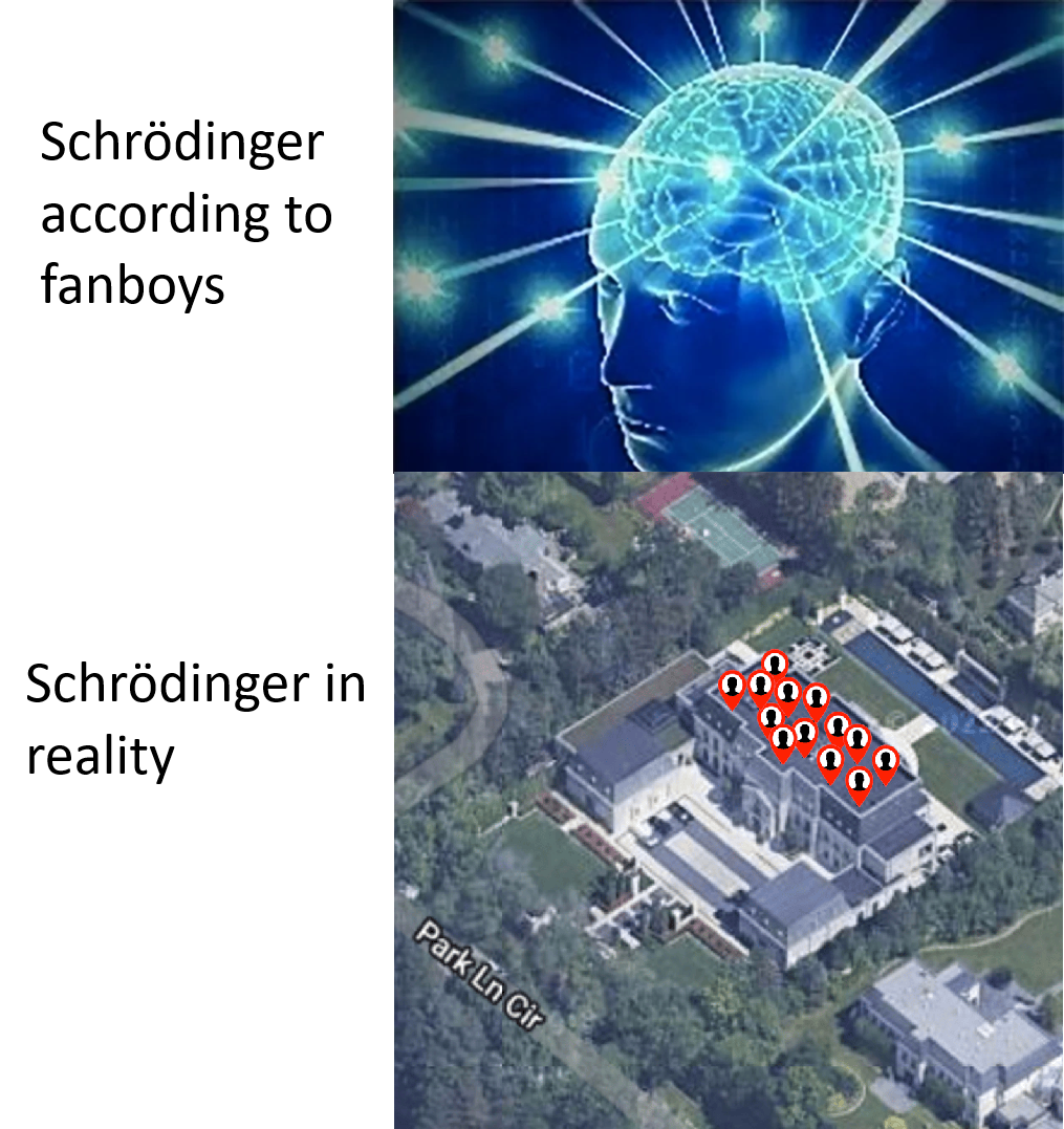 Schrödinger: Expectations Vs. Reality