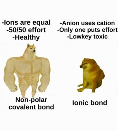 The Chemistry Of Bonds: Buff Doge vs. Cheems