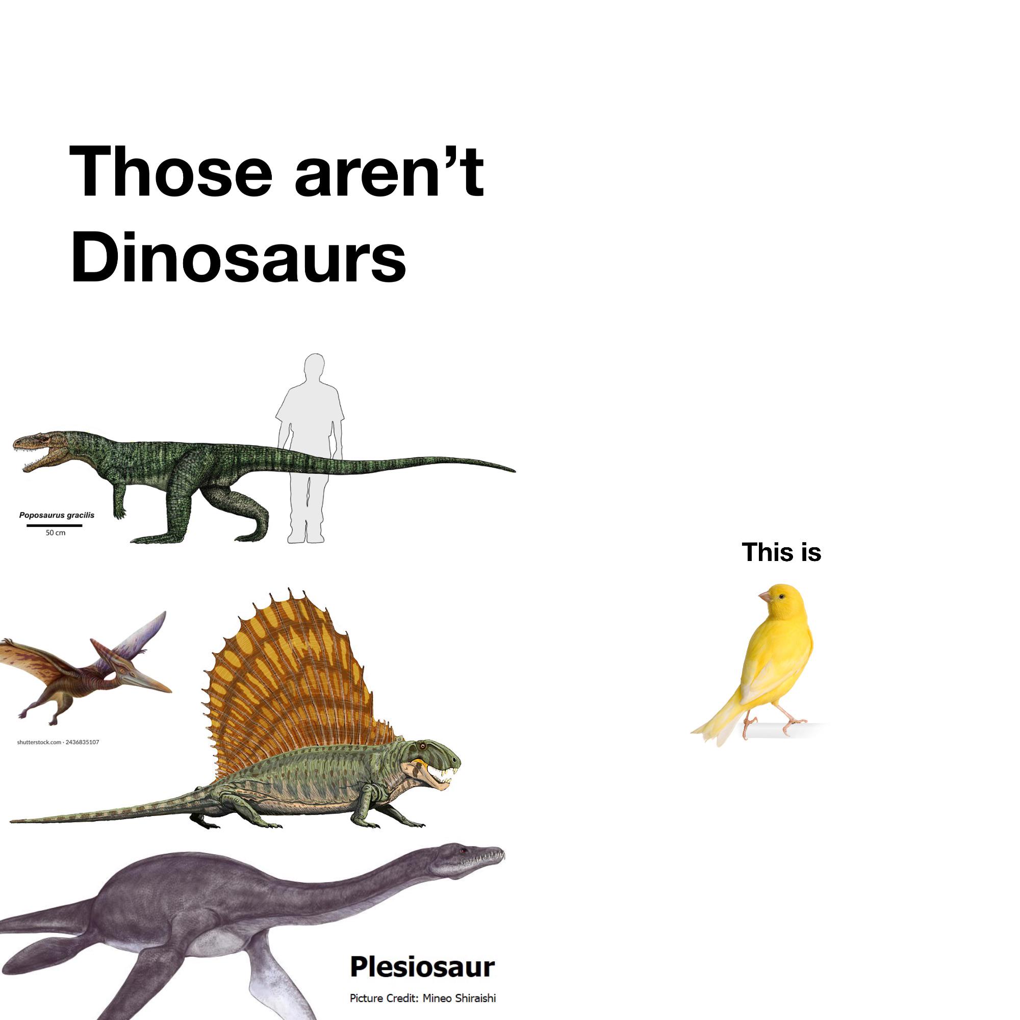The Real Dinosaur In The Room