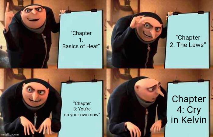 Thermo Professors Be Like
