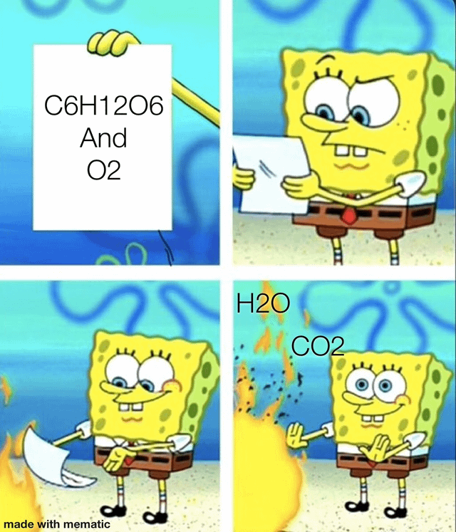 The Explosive Truth About Cellular Respiration
