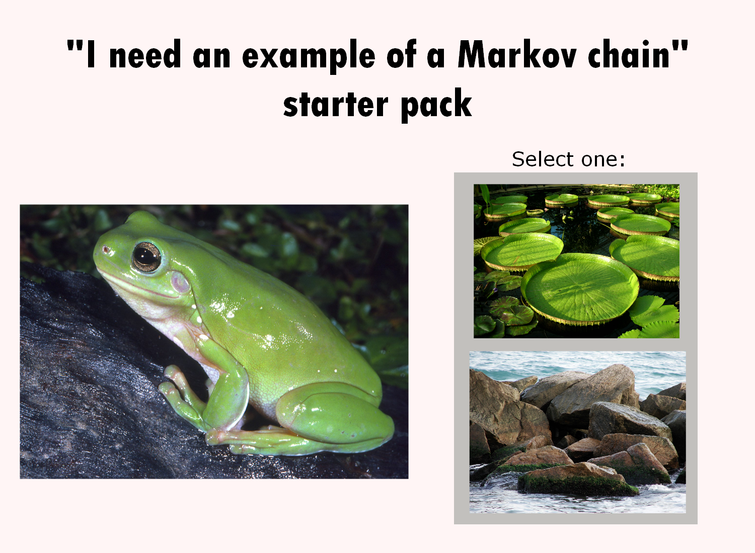 The Markov Chain Starter Pack