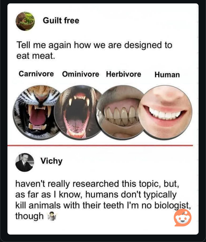 Dental Plan: Evolution's Reality Check