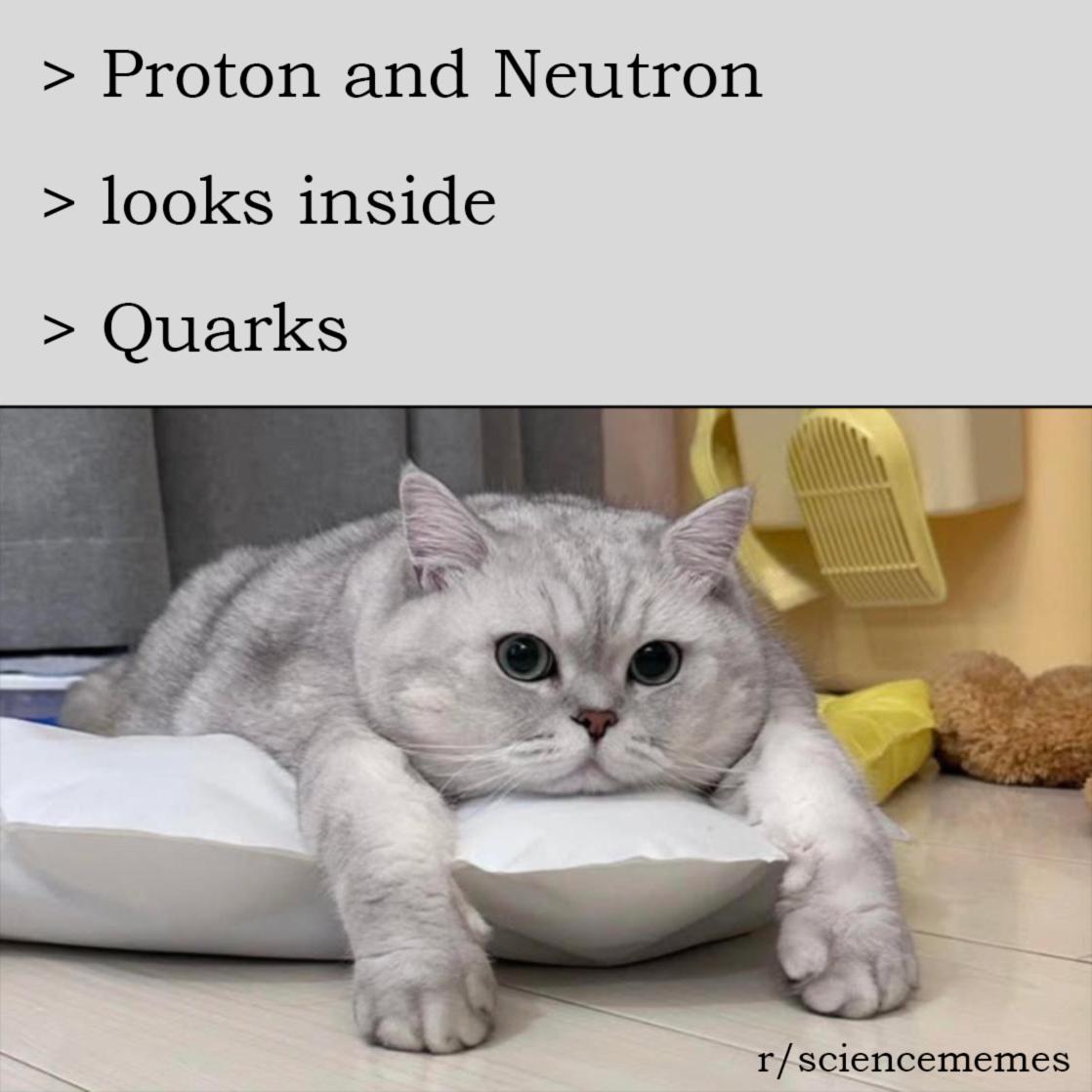 Quark! The Fundamental Fluffiness Of Matter