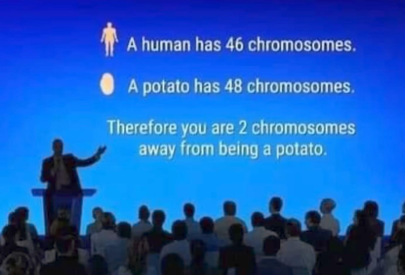 Two Chromosomes Away From Being A Potato