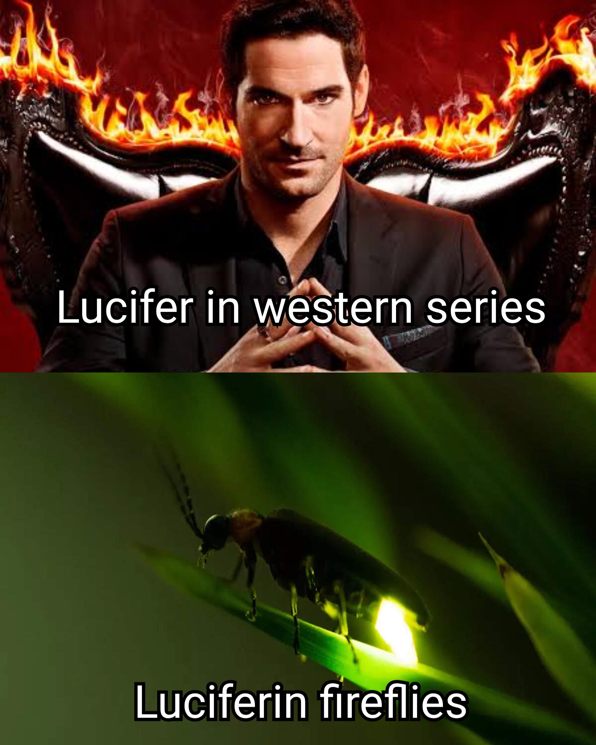 Devil In The Details: Lucifer Vs. Luciferin