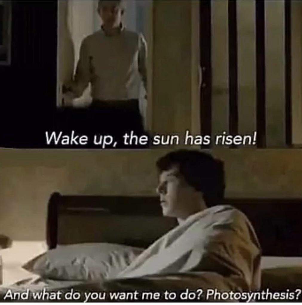 Sorry, I Forgot To Bring My Chloroplasts To Bed