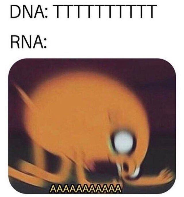 DNA's Chill, RNA's Panic