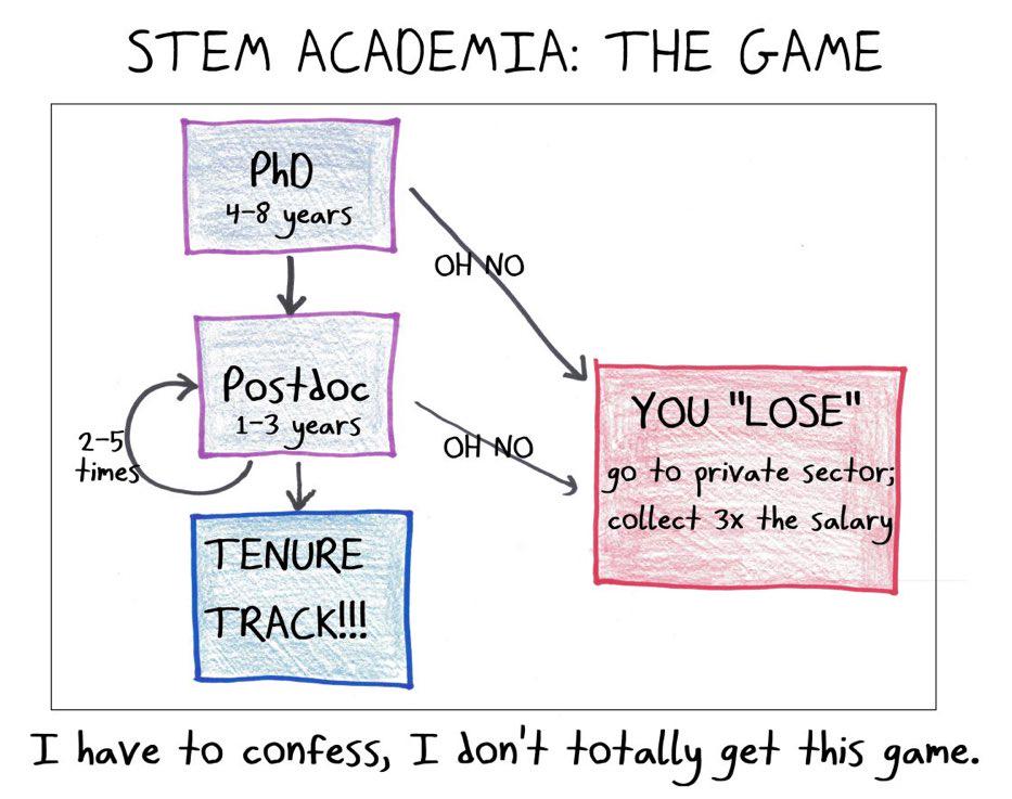STEM Academia: The Game Where Losing Pays Better