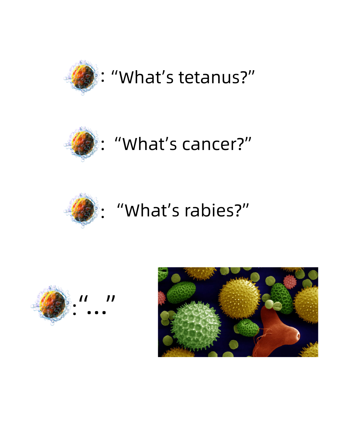 Immune System's Selective Memory Loss