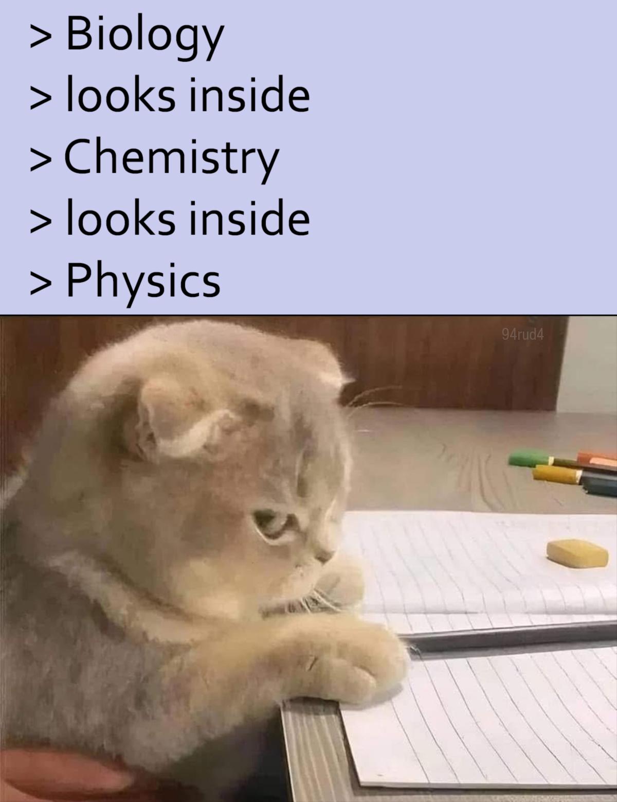 The Scientific Rabbit Hole
