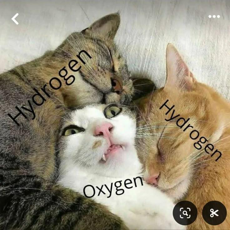 Water You Doing Later? Just Bonding