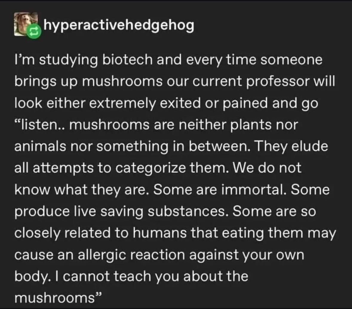 The Mysterious Mushroom Monologue