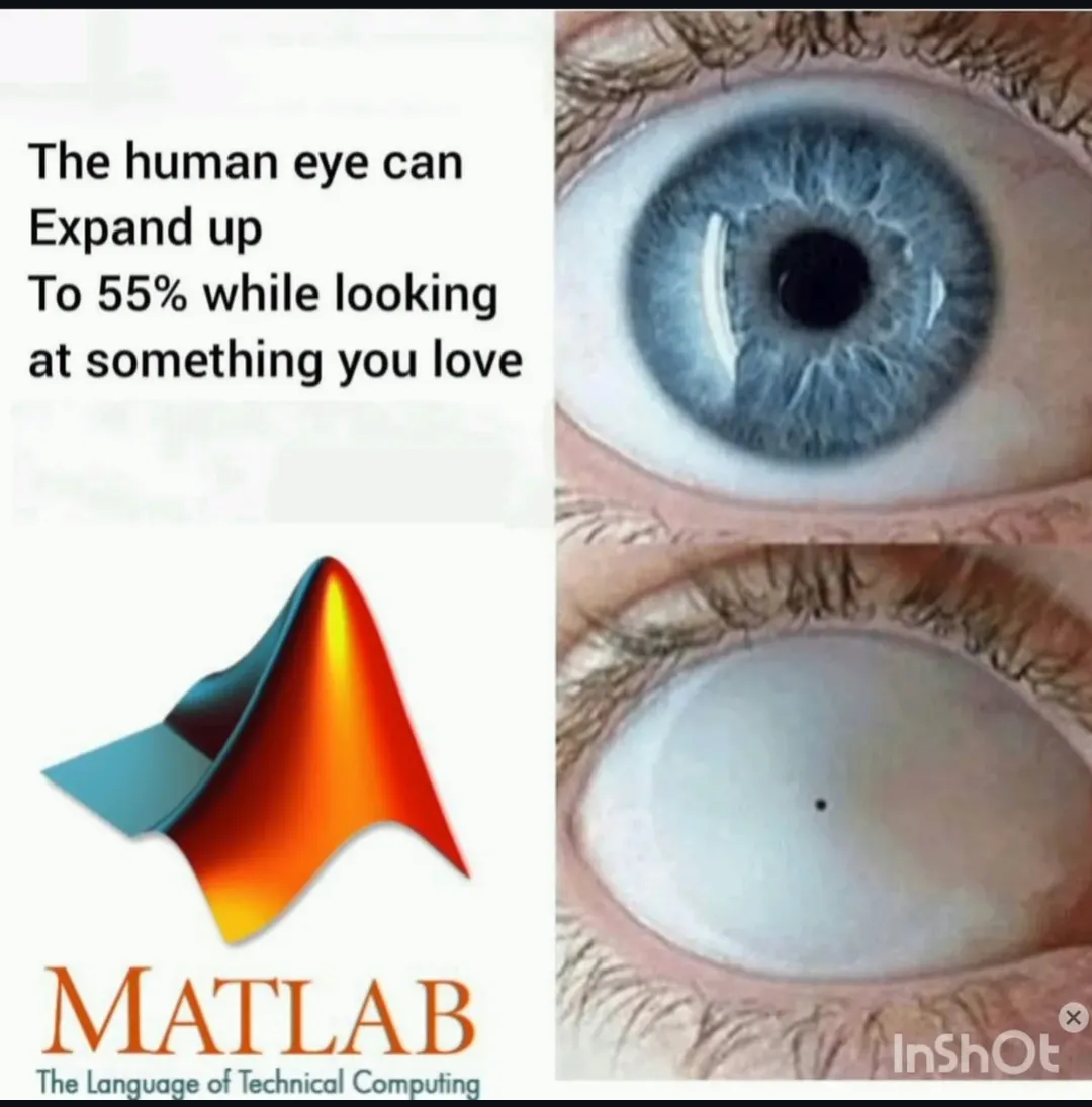 Matlab Got Me Blinking In For-Loops