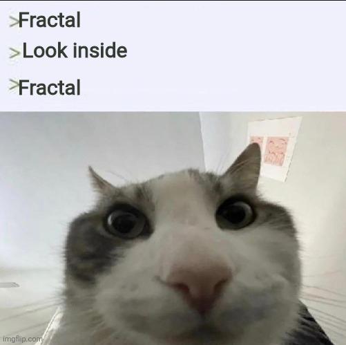 It's Fractals All The Way Down