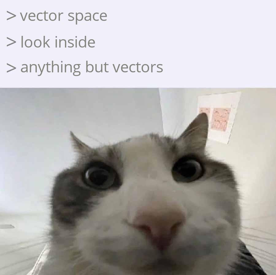 Vector Space? More Like Vector Disgrace