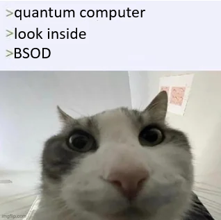 Look Inside A Quantum Computer