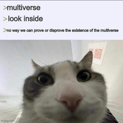 Schrödinger's Multiverse Theory