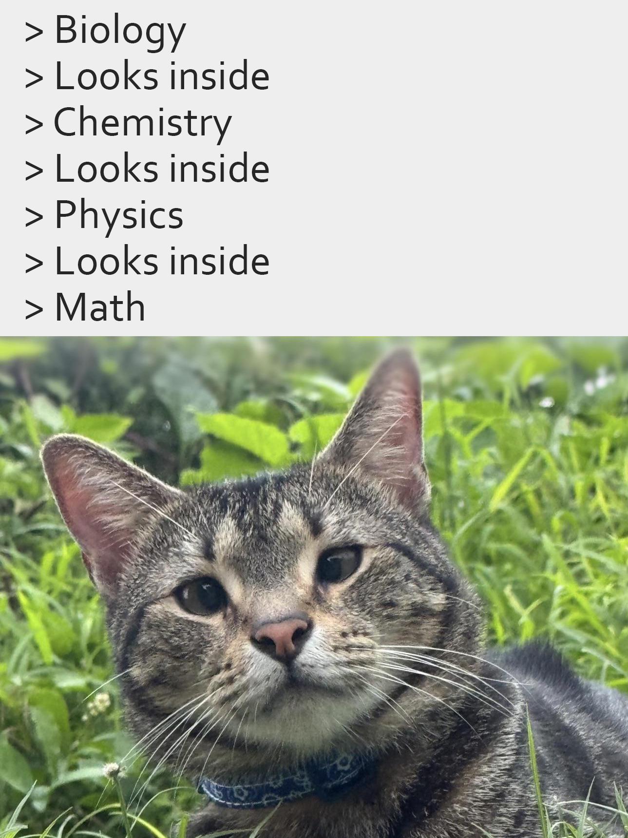 The Infinite Regression Of Scientific Disciplines